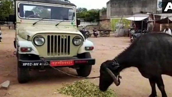 బుకాయించిన తహసీల్దార్