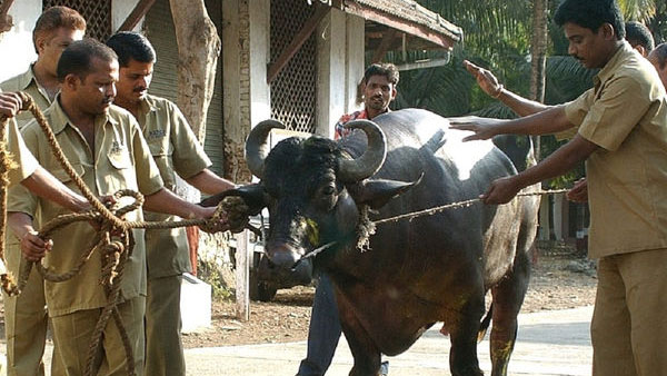మహిళపై పోలీసుకు ఫిర్యాదు చేసిన తహసీల్దార్