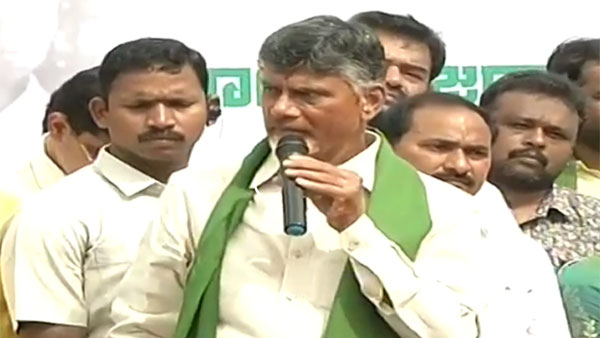 నో ఫెస్టివ్ మూడ్..