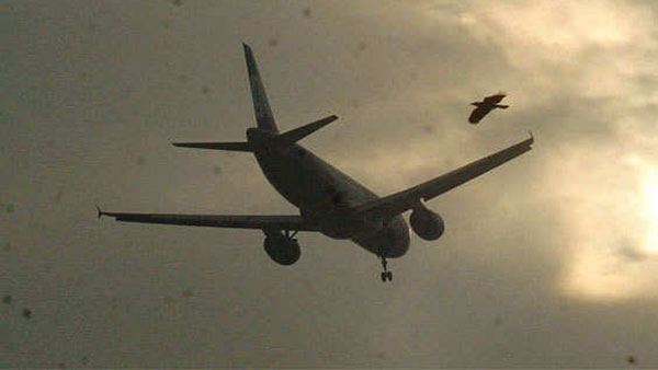 Training flight makes an emergency landing on Ghaziabad expressway Training flight makes an emergency landing on Ghaziabad expressway