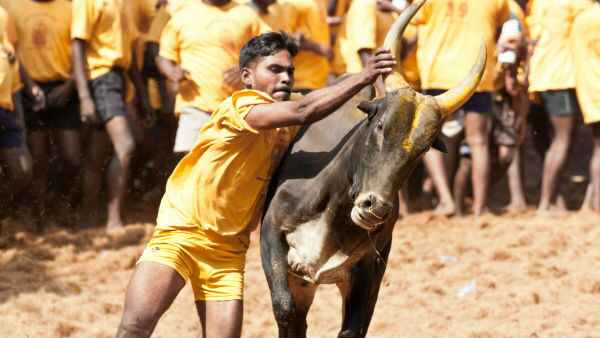 రిటైర్డ్ జడ్జి, కలెక్టర్ ఆధ్వర్యంలో..