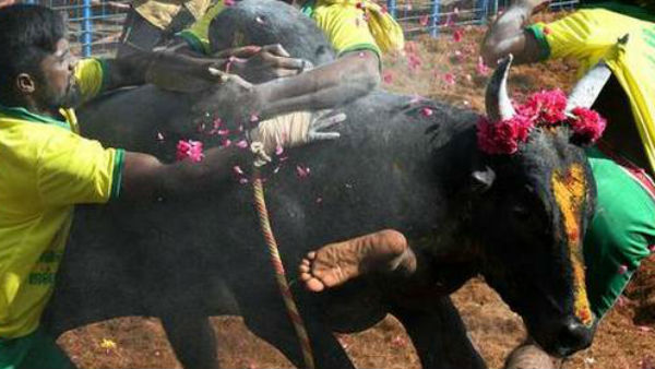 ఆంక్షలు, సూచనల నడుమ..