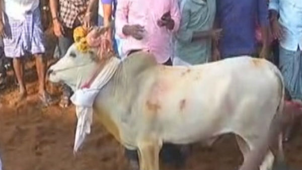 పాపం మహాలక్ష్మి..
