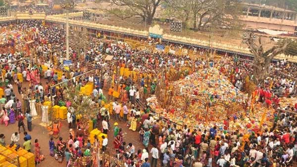 huge number of devotees visits medaram jatara huge number of devotees visits medaram jatara