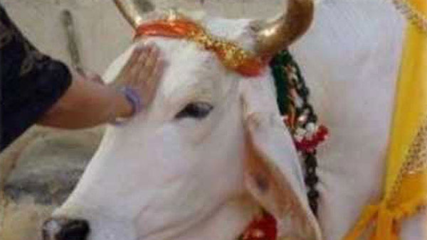 సంక్రాంతి మూడు రోజుల పండుగ