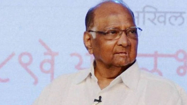 మహారాష్ట్రలో పవార్ మార్క్