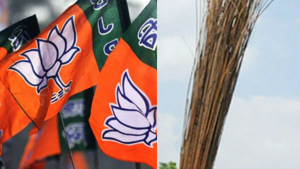 బీజేపీ పగటి కలలు, ఆప్ మెరుపుకలలు