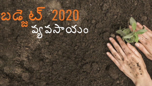 వీటికి ప్రాధాన్యం