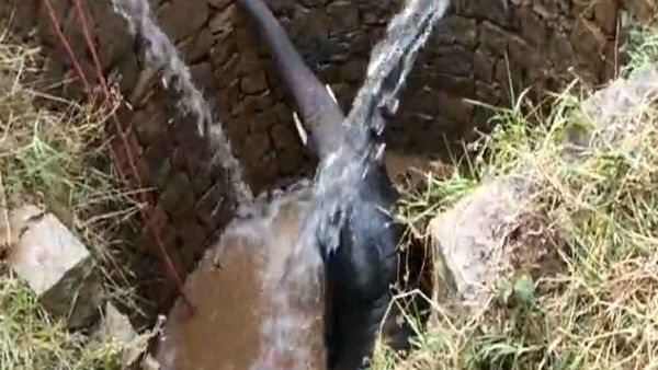 ఆర్కిమిడ్ సిద్ధాంతం ప్రయోగం