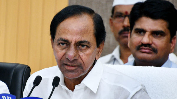 లక్షలాది మొక్కలు.. పలు చోట్ల రక్తదానాలు..