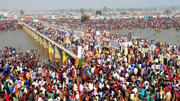మేడారం జాతర ప్రాముఖ్యత