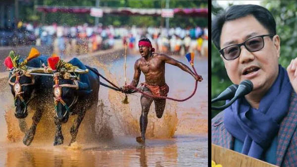 శాయ్ నుంచి గౌడకు పిలుపు..