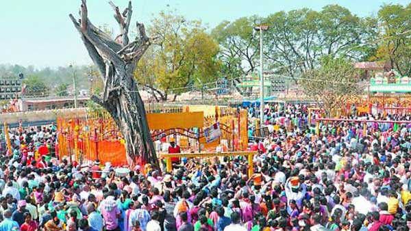 గిరిజన సాంప్రదాయాల ప్రకారం సారలమ్మ పూజలు