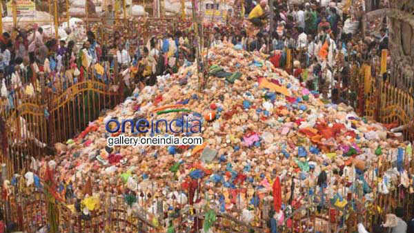 ఒకేసారి సారలమ్మ , గోవిందరాజుల ఆగమనం .. మహా జాతర షురూ