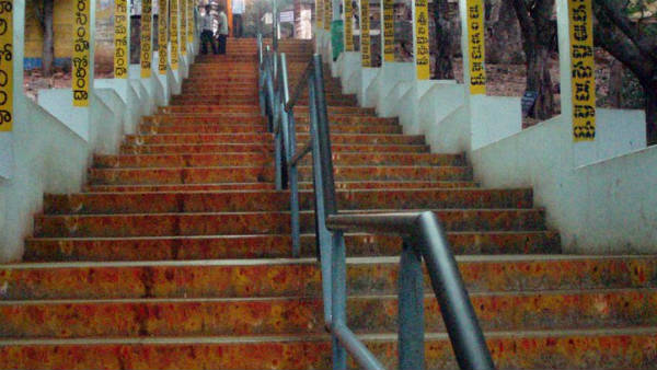 fear in tirumala devoties as deer killed at srivari mettu, ttd vigilance enquiring matter fear in tirumala devoties as deer killed at srivari mettu, ttd vigilance enquiring matter