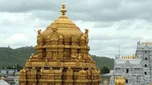 సొంతంగా పాల సేకరణ దిశగా..