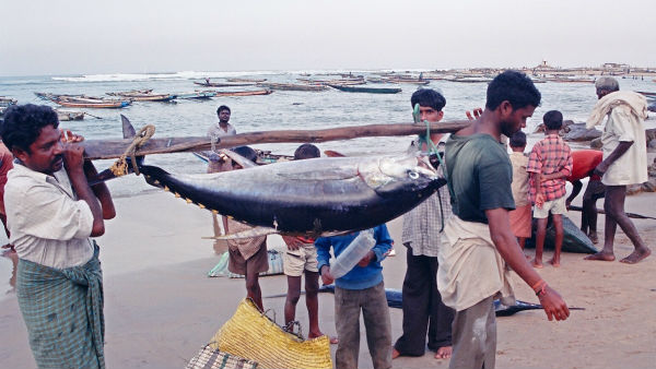 షెడ్యూల్ ఇదీ