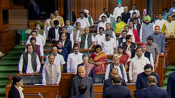 Lok Sabha: Cong, BJP members push, shove each other. Lok Sabha: Cong, BJP members push, shove each other.