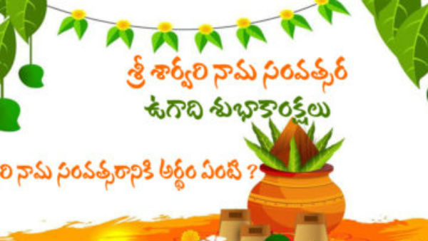 What is meant by Sarvari? Do people dont really live with peace this year? What is meant by Sarvari? Do people dont really live with peace this year?