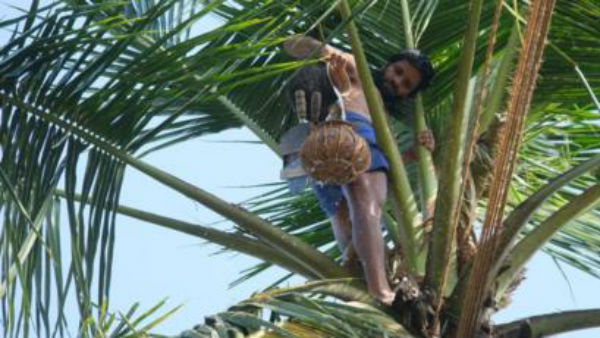 కల్లు బుకింగ్ , పేమెంట్ అంతా ఆన్ లైన్ లోనే