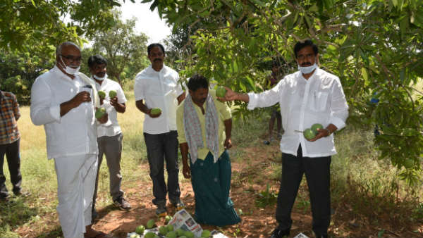 కరోనా మాటున ప్రచారం..