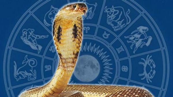 భారత్లో ప్రభావం ఎందుకు తక్కువంటే
