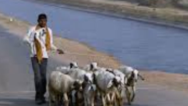 మాస్కులు వేశారు కానీ..