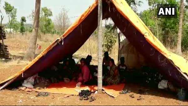 Families in Muddenahalli Karnataka had shifted to fields live in tents, amid Covid-19 Families in Muddenahalli Karnataka had shifted to fields live in tents, amid Covid-19