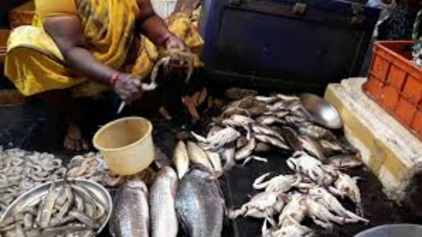 vijayawada non veg markets will remain closed tomorrow vijayawada non veg markets will remain closed tomorrow