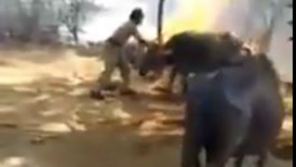 Telangana: Rachakonda Constables rescued cattle from burning shed Telangana: Rachakonda Constables rescued cattle from burning shed