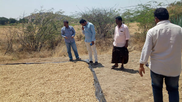 rayadurg tahsildar suspended for allotting plots to poor on caste basis in ap rayadurg tahsildar suspended for allotting plots to poor on caste basis in ap