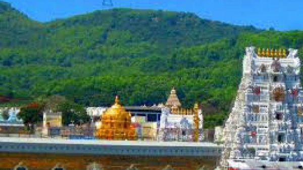 అటవీప్రాంతం , ఆపై నిర్మానుష్యం కావటంతోనే జంతు , సర్ప సంచారం అంటున్న అటవీశాఖ