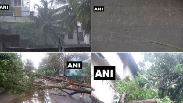 Heavy rain, strong winds lash Bengaluru city Heavy rain, strong winds lash Bengaluru city