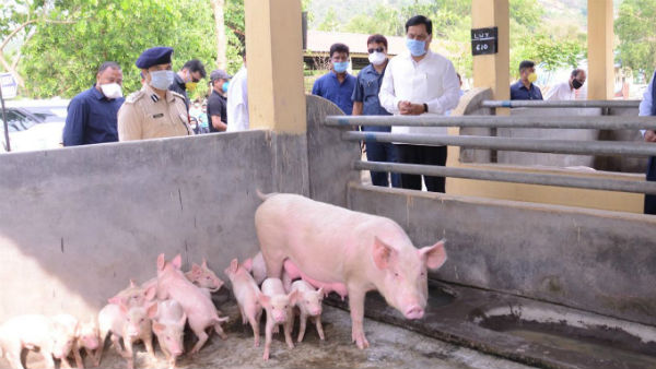 అత్యంత ప్రమాదకరం..