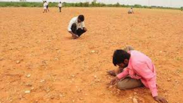 diamonds hunt in Kurnool.. a shepherd and farm laborer found diamonds diamonds hunt in Kurnool.. a shepherd and farm laborer found diamonds