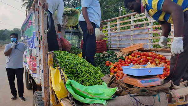 చెంగుచెంగున దూకుతూ ఆదోని బళ్ళారి రోడ్డు దాటుతున్న జింకల సమూహం