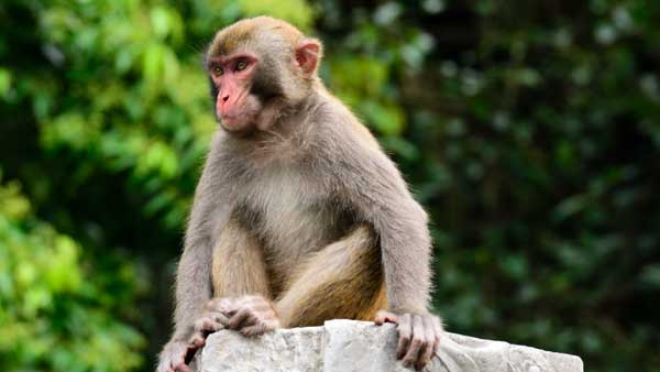 మేము మారం అంతే
