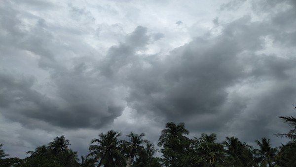 పశ్చిమ బెంగాల్