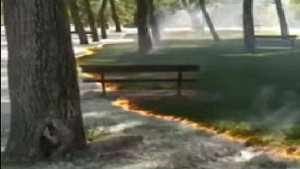 Netizens baffled by planned park fire that didnt burn through wooden benches or trees Netizens baffled by planned park fire that didnt burn through wooden benches or trees