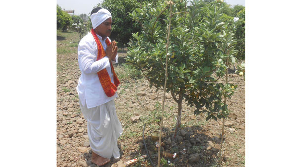 గత నాలుగేళ్ళుగా యాపిల్ సాగు చేస్తున్న రైతు