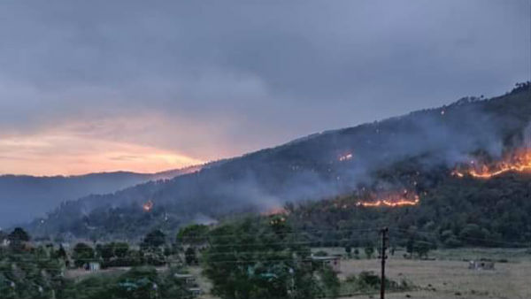 Uttarakhand Forest Fire: Over 50 Hectare Land Gutted For the past four days Uttarakhand Forest Fire: Over 50 Hectare Land Gutted For the past four days
