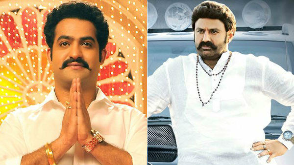 జూ. ఎన్టీఆర్ రాజకీయ ప్రవేశం అతనిష్టమే..