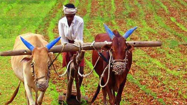 ఏరువాక పున్నమి ప్రత్యేకత ఏంటి..?