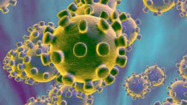 Newly 76 Coronavirus Positive cases have reported in Andhra Pradesh Total reached at 3118 Newly 76 Coronavirus Positive cases have reported in Andhra Pradesh Total reached at 3118