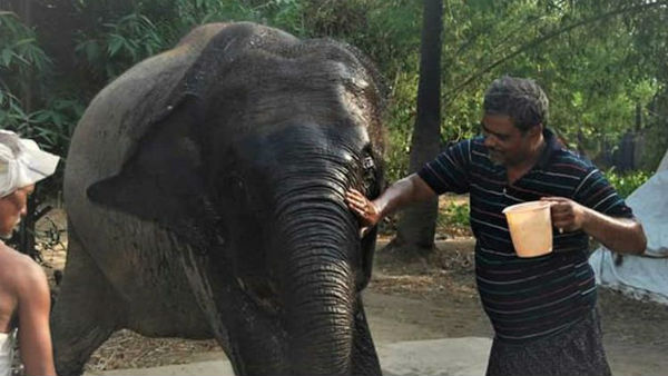 రాణి, మోతీలంటే ప్రాణం