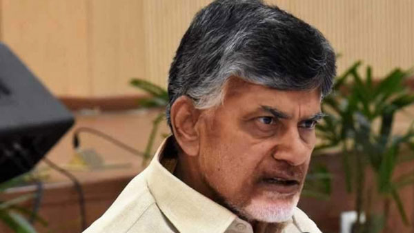 సరస్వతిపై దుమారం..