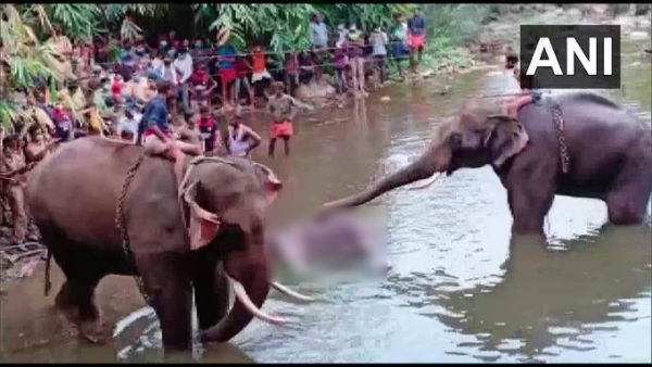 మేనకా గాంధీ వ్యాఖ్యలతో కమ్యూనలైజ్..