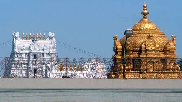తిరుచానూరు శ్రీ పద్మావతి అమ్మవారి ఆలయంలో