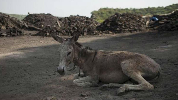 అంత వరకు స్టోరీ బాగానే ఉంది