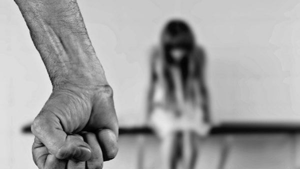 పుదుకొట్టై జిల్లా ఎంబల్..